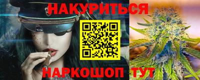 индика Нальчик