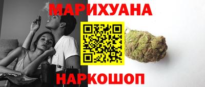 индика Нальчик