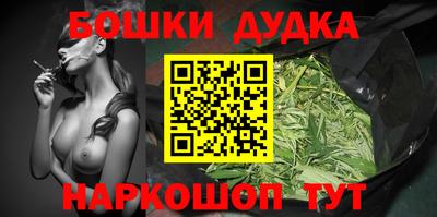 индика Нальчик